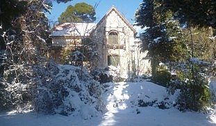 Κτήμα Τατοΐου: Η απαράμιλλη ομορφιά του χιονισμένου τοπίου